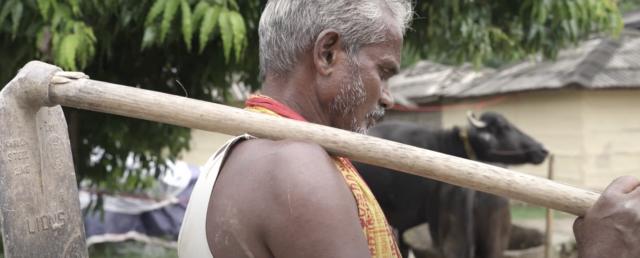 Bishnu in Nepal on his farm