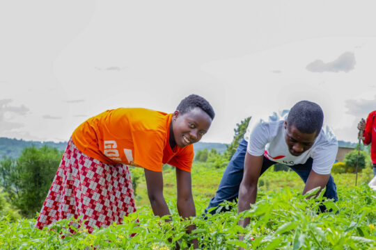 Climate work