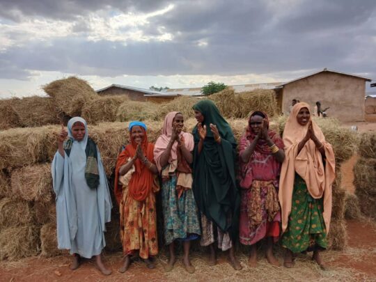 Women in Ethiopia receive critical livestock feed